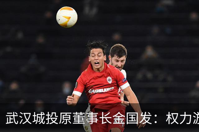 武汉城投原董事长金国发：权力游戏终落幕，家财散尽方知错？