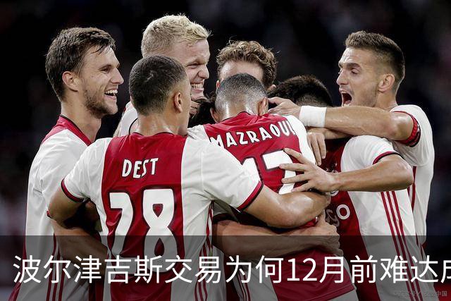 波尔津吉斯交易为何12月前难达成？美记点出两大障碍